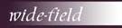 wide-field